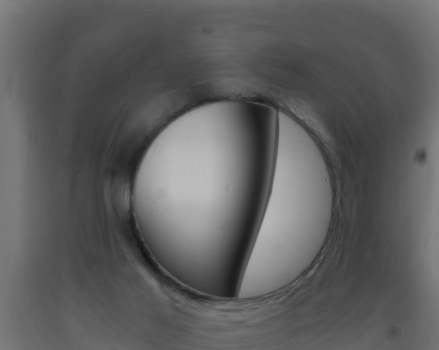 X0000093730021200710160823