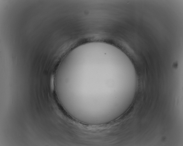 X0000093730022200710160823