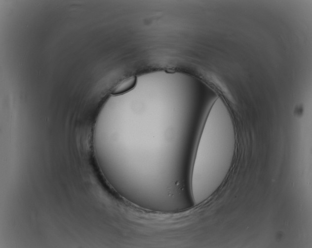 X0000093730023200710160823