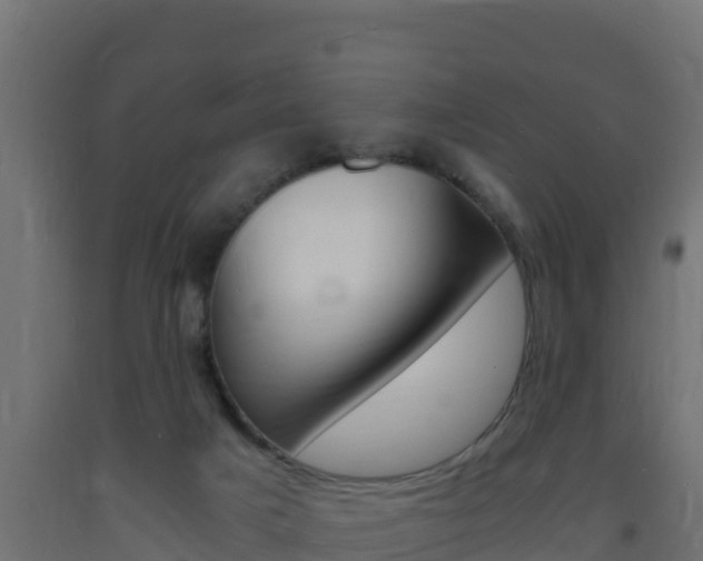 X0000093730025200710160823