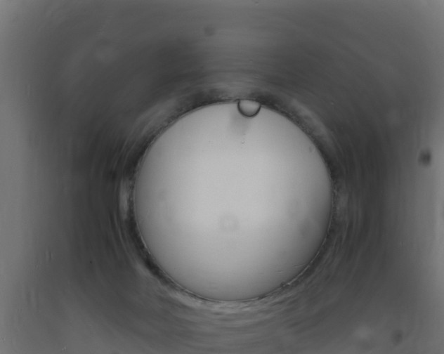 X0000093730026200710160823