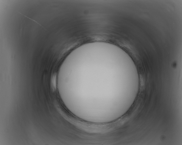 X0000093730028200710160823