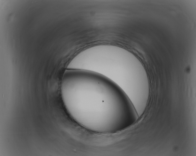 X0000093730029200710160823