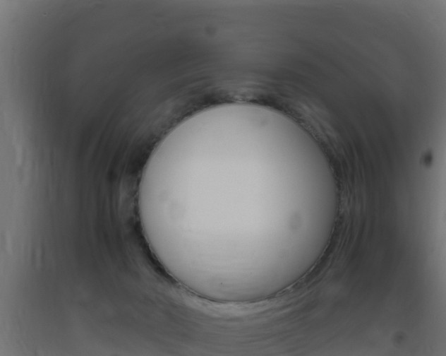 X0000093730030200710160823