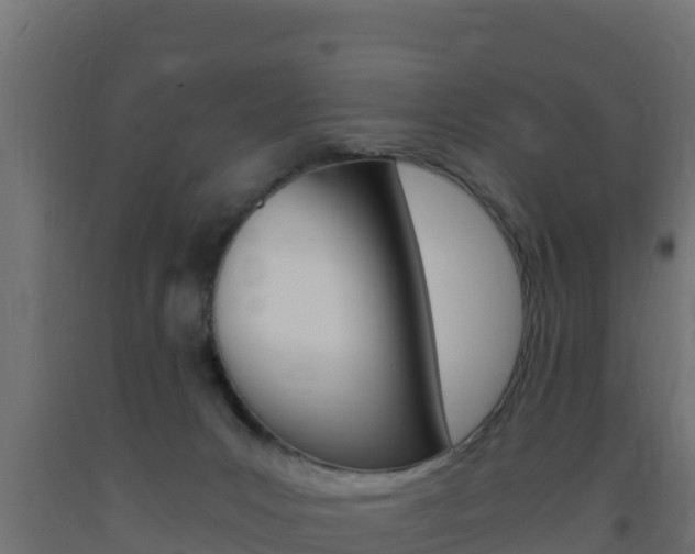 X0000093730031200710160823