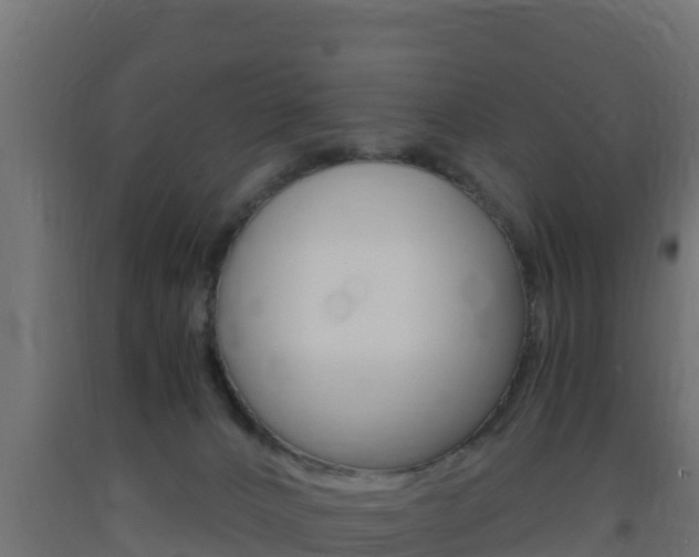 X0000093730032200710160823