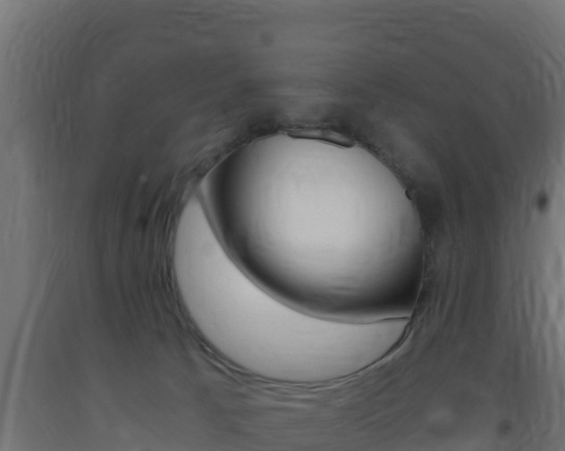 X0000093730033200710160823