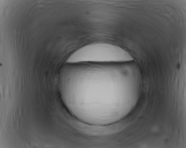 X0000093730034200710160823