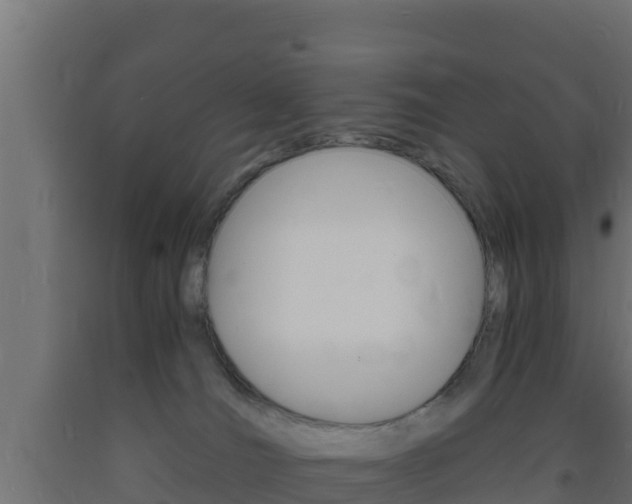 X0000093730036200710160823