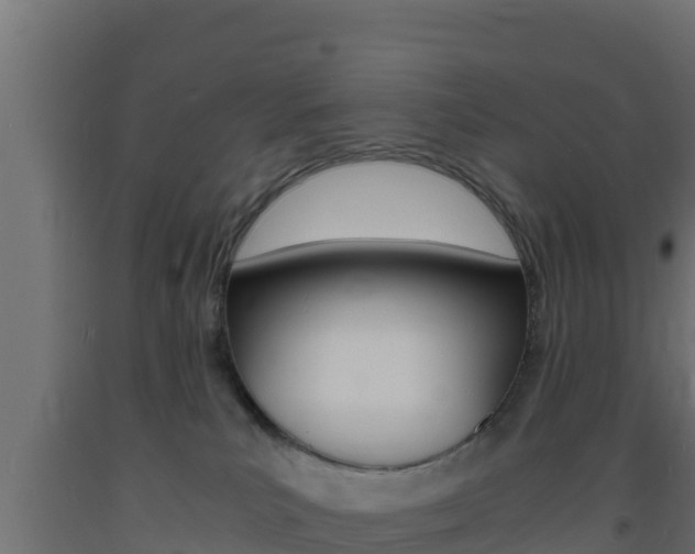 X0000093730039200710160823