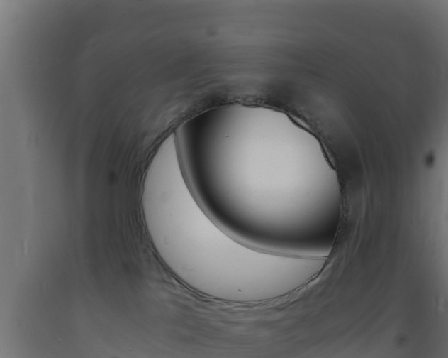X0000093730041200710160823