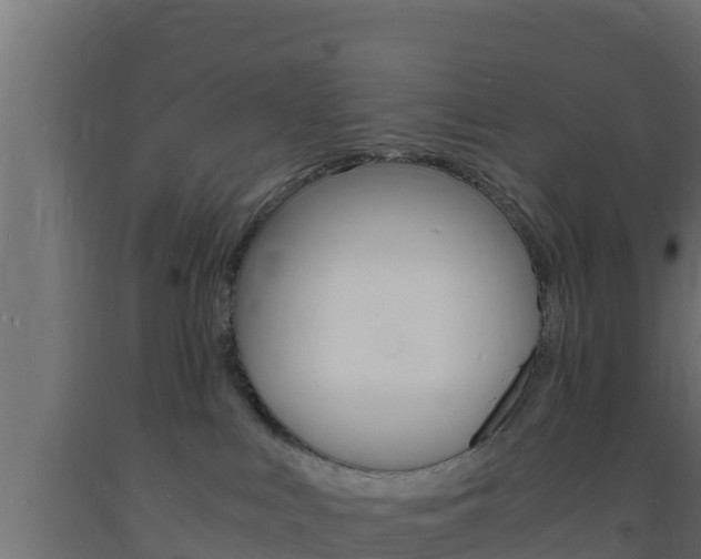 X0000093730043200710160823