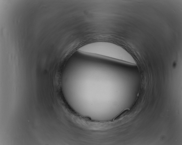 X0000093730044200710160823