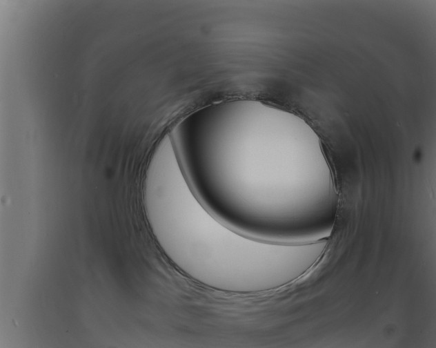 X0000093730045200710160823