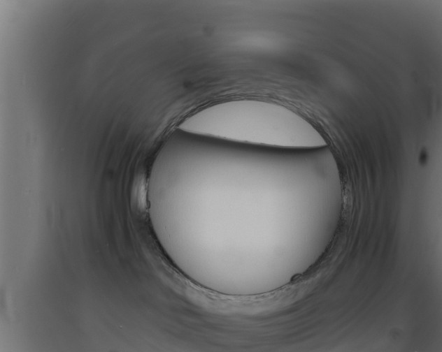 X0000093730046200710160823