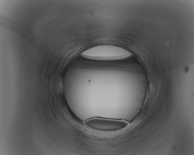 X0000093730048200710160823