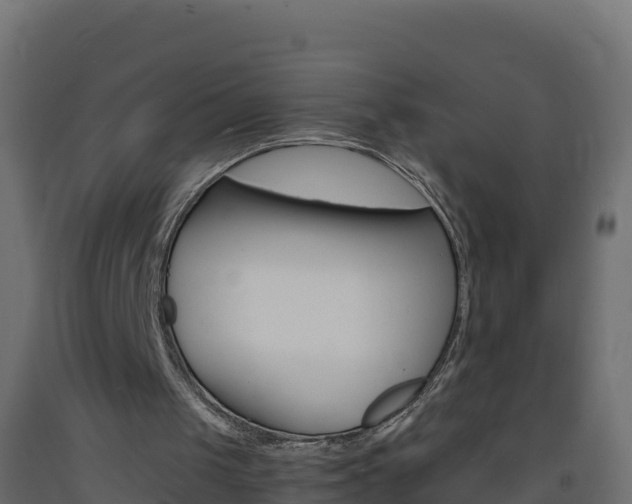 X0000093730049200710160822