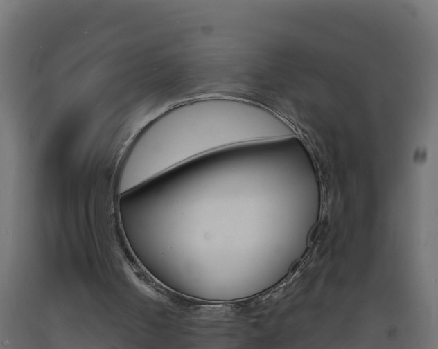 X0000093730050200710160822