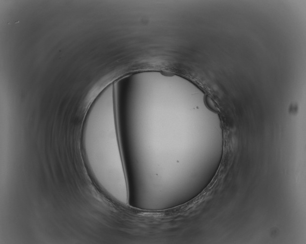 X0000093730051200710160822