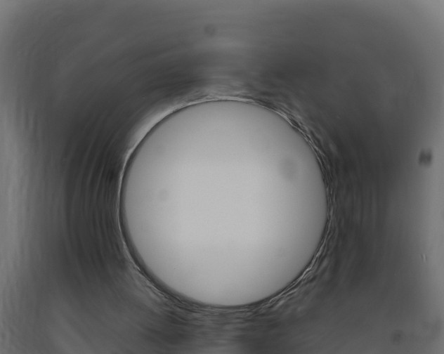 X0000093730052200710160822
