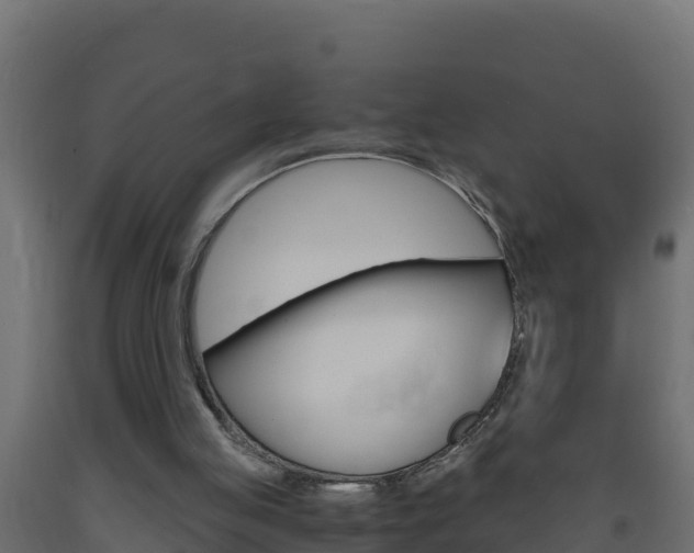 X0000093730053200710160822