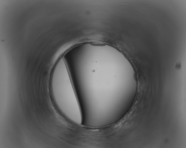 X0000093730054200710160822