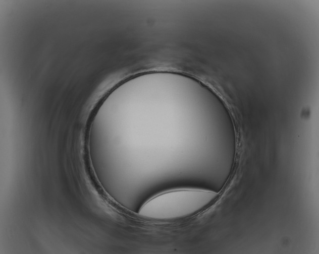 X0000093730055200710160822