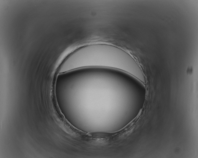 X0000093730056200710160823