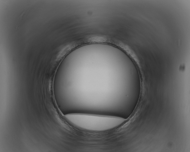 X0000093730057200710160823