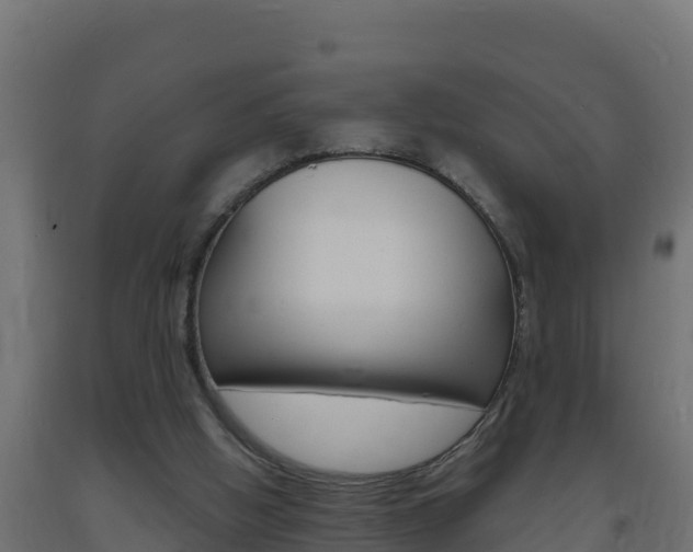 X0000093730058200710160823