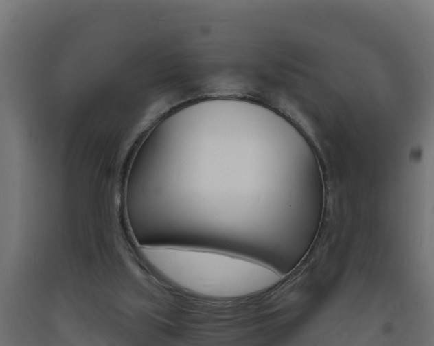 X0000093730059200710160823