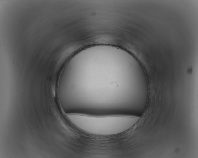 X0000093730062200710160823