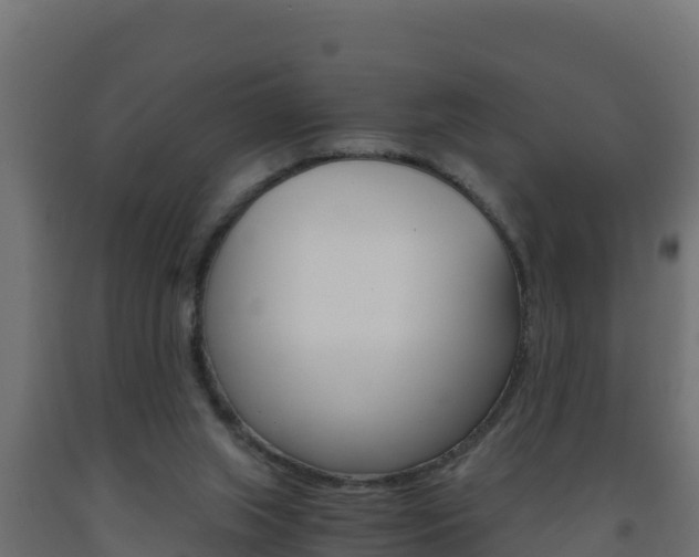 X0000093730063200710160823
