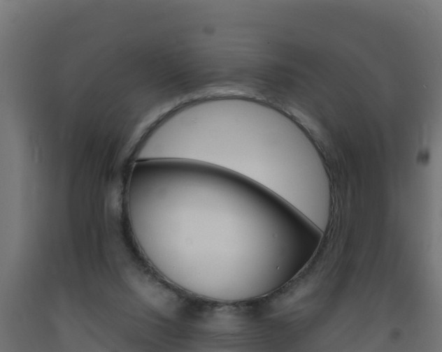 X0000093730064200710160823