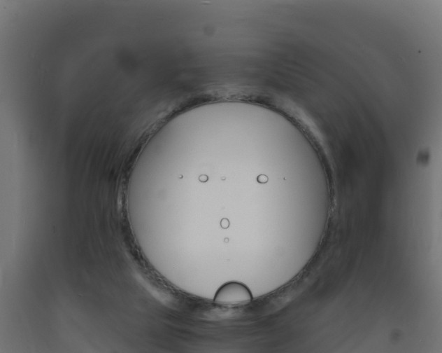 X0000093730065200710160823