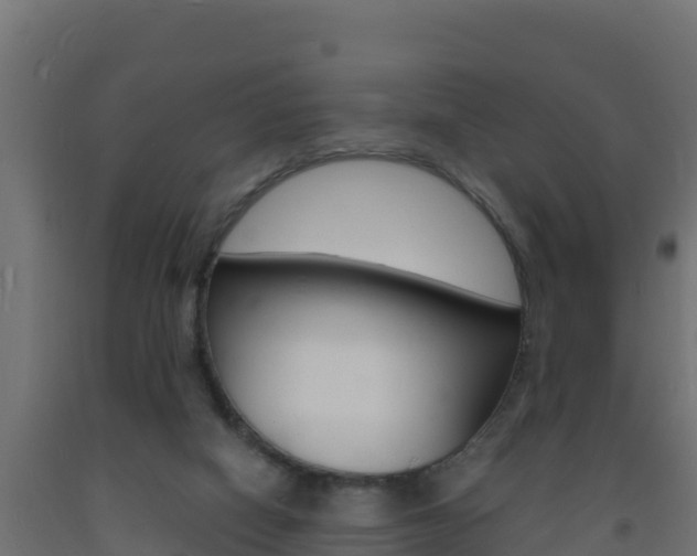 X0000093730066200710160823