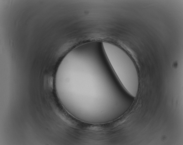 X0000093730067200710160823