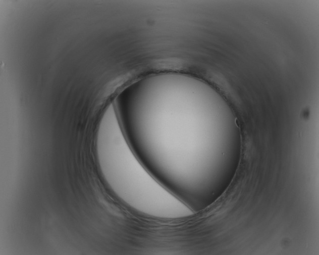 X0000093730068200710160823