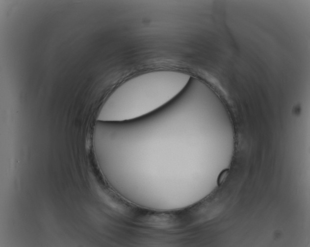 X0000093730069200710160823