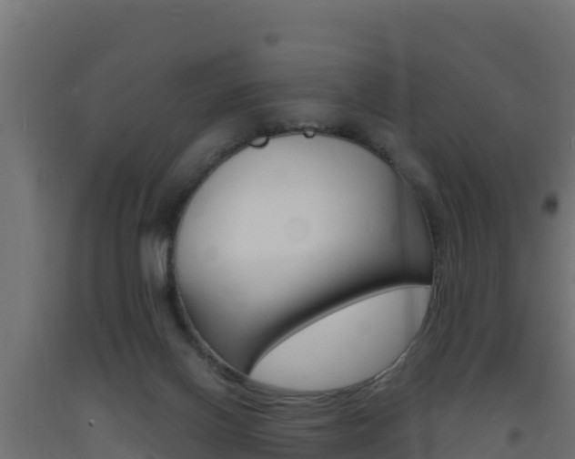X0000093730070200710160823