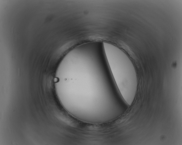 X0000093730071200710160823