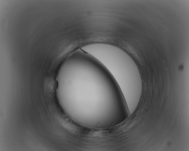 X0000093730072200710160823