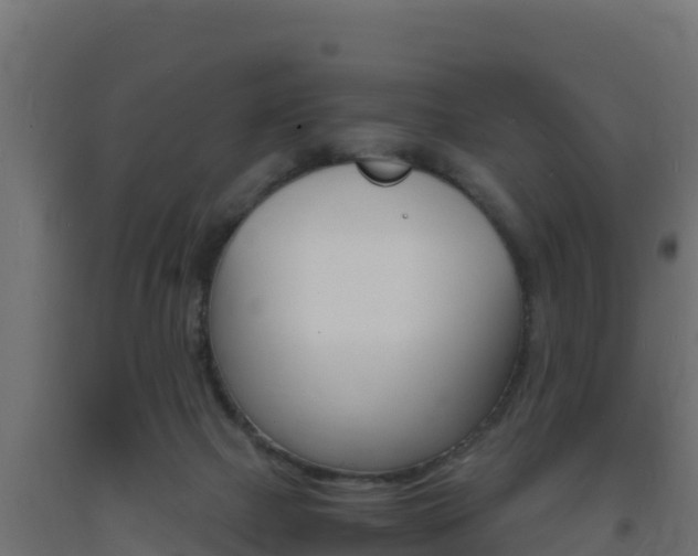 X0000093730073200710160823