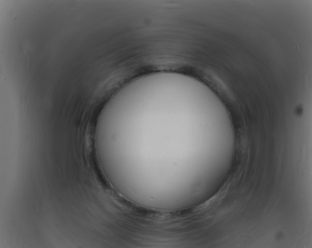 X0000093730074200710160823