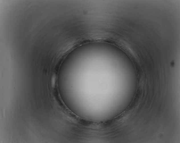 X0000093730076200710160823