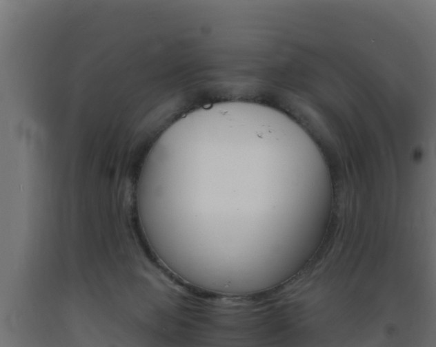 X0000093730077200710160823