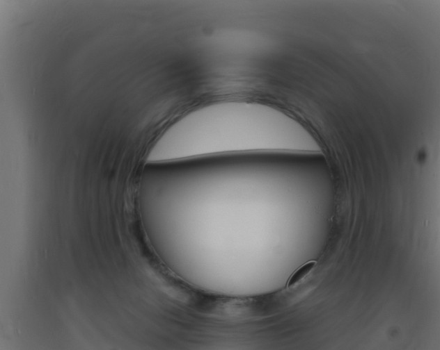 X0000093730078200710160823