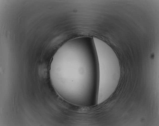X0000093730080200710160823