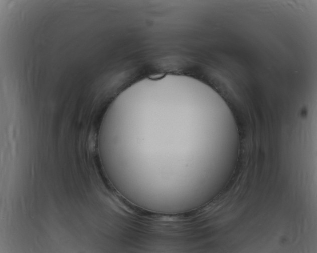 X0000093730081200710160823
