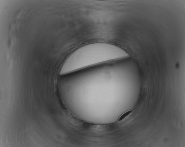 X0000093730082200710160823